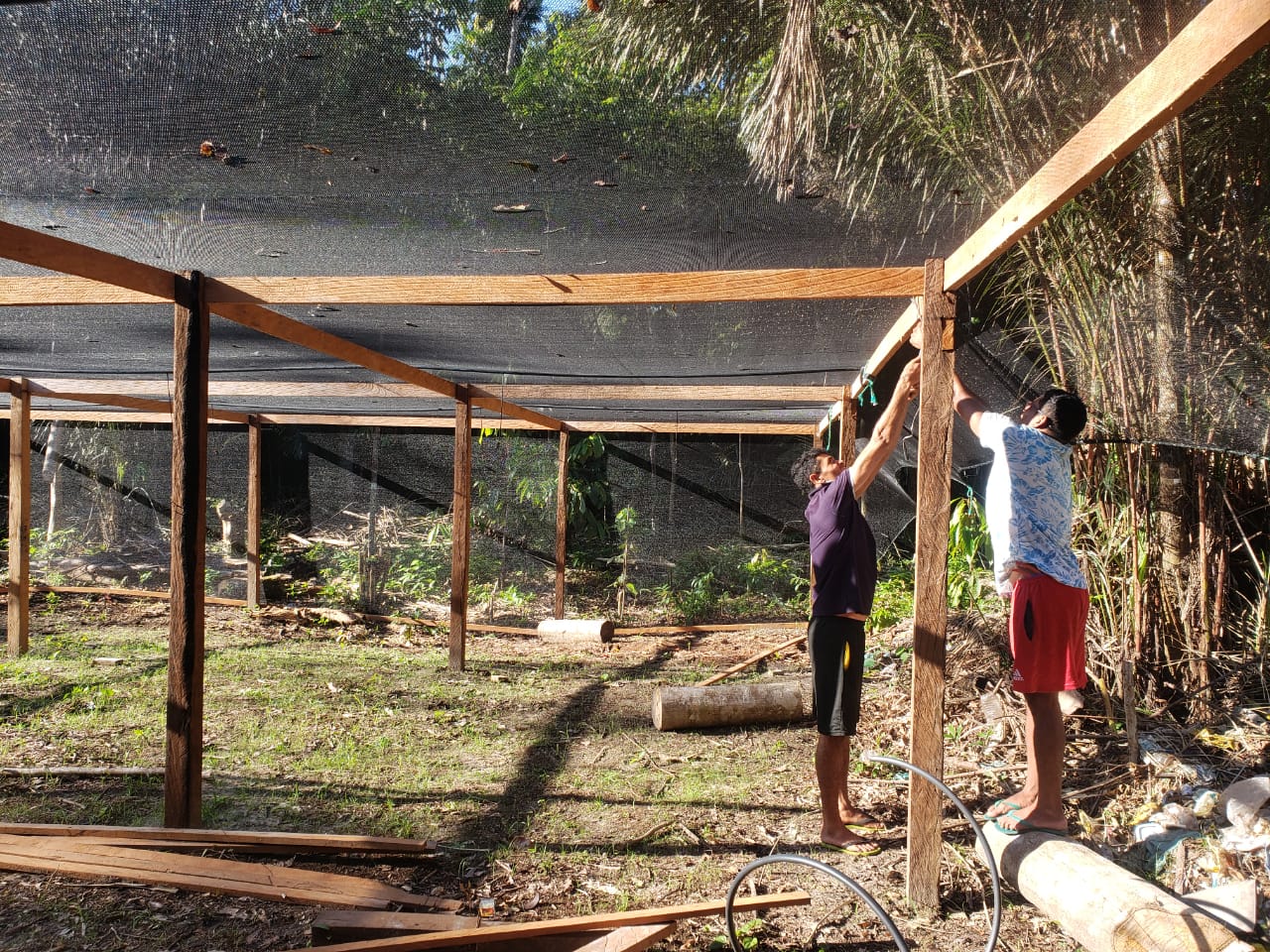 Imagem de dois homens estruturando o viveiro de mudas de Santo Ezequiel Moreno no Marajó