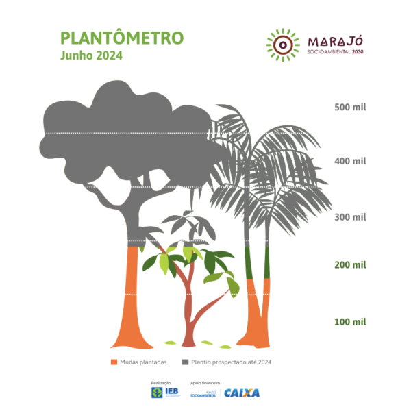 gráfico-plantio-site-marajó (3)